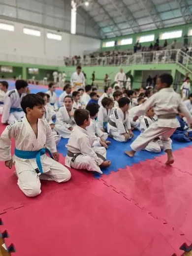 Festival de Judô de Louveira — foto 65