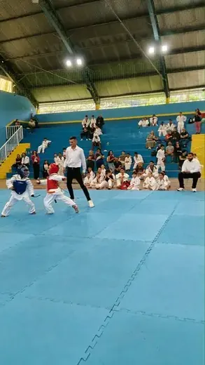 Festival Louveira de Taekwondo 2026 — foto 5