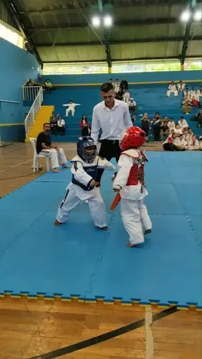 Festival Louveira de Taekwondo 2026 — foto 9